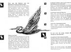 McFadden Creek Heronry
