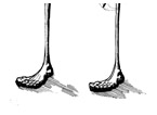 Our Ecological Footprint